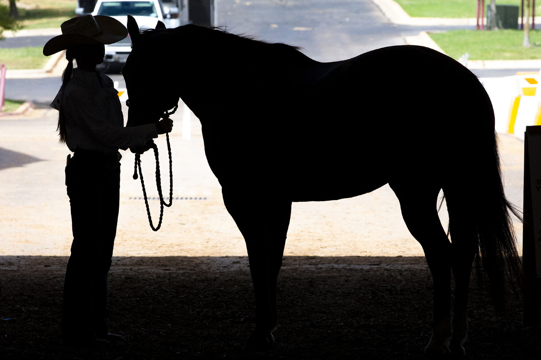 4-H horse show